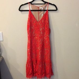 WAYF Lace Dress